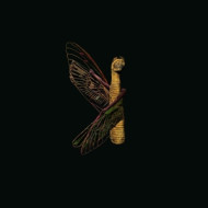 SAET EL HAZ (THE LUCK HOUR)