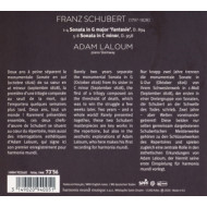 SCHUBERT SONATAS 894 & 958