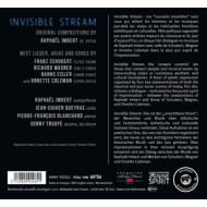 INVISIBLE STREAM