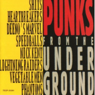 PUNKS FROM THE UNDERGROUN