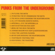 PUNKS FROM THE UNDERGROUN