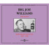 BLUES: BABY PLEASE DON'T GO 1935-1951