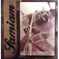 SAMIAM