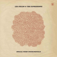 SPECIAL NIGHT INSTRUMENTALS
