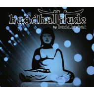 BUDDHATTITUDE BY BUDDHA B
