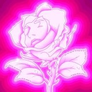 ROSE FLUO