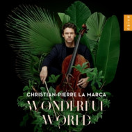 WONDERFUL WORLD