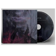 FIERCE REMIXES & MORE