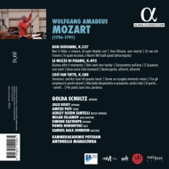 MOZART, YOU DRIVE ME CRAZY!