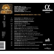 BACH PRIVAT