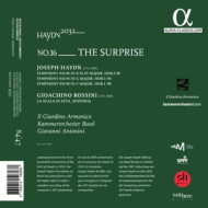 HAYDN & ROSSINI: HAYDN 2032, VOL. 16: THE SURPRISE