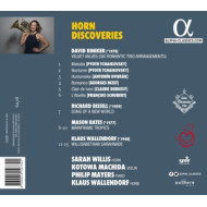 HORN DISCOVERIES