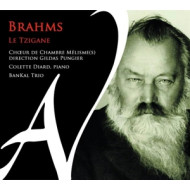 BRAHMS: LE TZIGANE