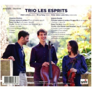 TRIO POUR PIANO E CORDES NO.1 OPUS 8