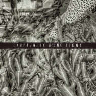 LABYRINTHE D'UNE LIGNE