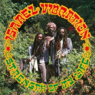 ISRAEL VIBRATION