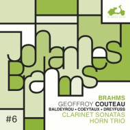 JOHANNES BRAHMS: CLARINET SONATAS, HORN TRIO