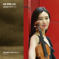 LE VIOLON AUGMENTE