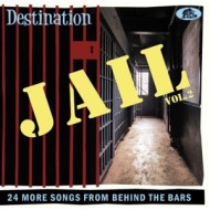 DESTINATION JAIL, VOL. 2