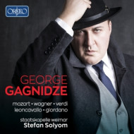 GEORGE GAGNIDZE