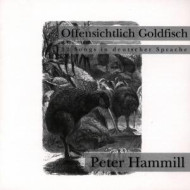 OFFENSICHTLICH GOLDFISH