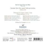 SONATAE TAM ARIS, QUAM AULIS SERVIENTES