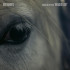 MUSIC FOR THE FILM DREADED LIGHT