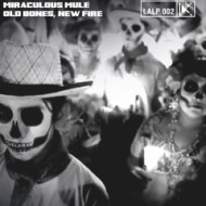 OLD BONES, NEW FIRE