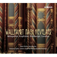 WALLFAHRT NACH KEVELAER