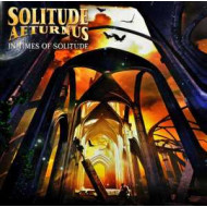 IN TIMES OF SOLITUDE