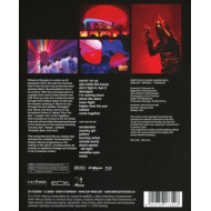 SCREAMADELICA LIVE