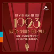 1923 - THE WILD SOUN OF THE 20S