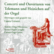 CONCERTI & OUVERTUREN AUF DER ORGEL