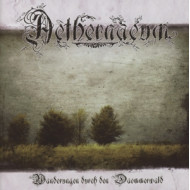 WANDERUNGEN DURCH DEN DAMMERWALD