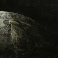 MOTH & THE MOON