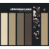 PLAYS STEWART COPELAND
