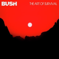 THE ART OF SURVIVAL