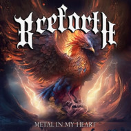 METAL IN MY HEART