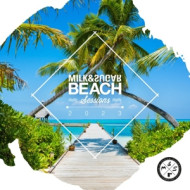 BEACH SESSIONS 2023