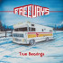TRUE BEARINGS