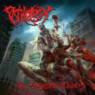 EVERLASTING PLAGUE