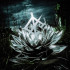 DARKBLOOM