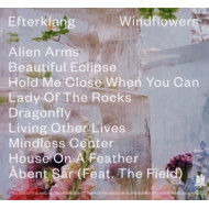 WINDFLOWERS