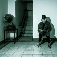 FRANCES THE MUTE & THE WIDOW (LIVE)