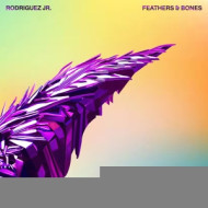 FEATHERS & BONES