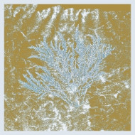 FOR THOSE OF YOU WHO HAVE NEVER