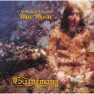 WALKING UNDER BLUE MOON