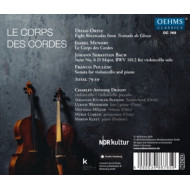 LE CORPS DES CORDES