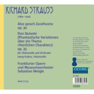 ALSO SPRACH ZARATHUSTRA/DON QUIXOTE