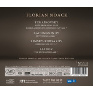 PIANO TRANSCRIPTIONS BY FLORIAN NOACK